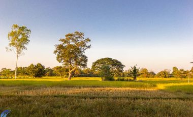 5 bed Country Estate
