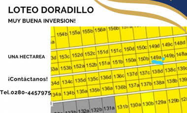 Hectarea Loteo Doradillo sobre calle Aguilucho