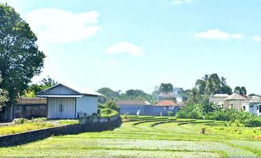 Tanah 1000m2 Lingkungan Villa Dengan View Sawah di Canggu