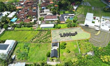 Tanah 1000m2 Lingkungan Villa Dengan View Sawah di Canggu