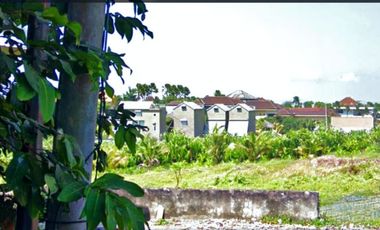Tanah 1000m2 Lingkungan Villa Dengan View Sawah di Canggu