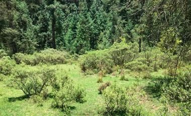 CASA EN VENTA EN LOS AZUFRES, MICHOACAN