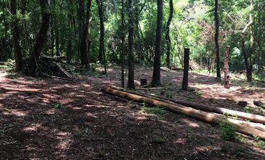 Venta Campo 12700 m2 C/Financiación Eldorado Misiones