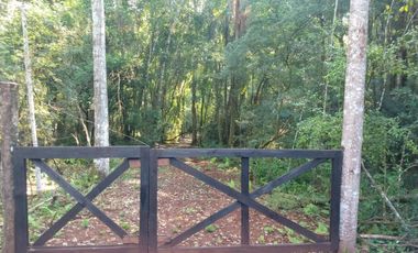 Venta Campo 12700 m2 C/Financiación Eldorado Misiones