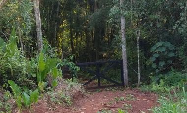 Venta Campo 12700 m2 C/Financiación Eldorado Misiones