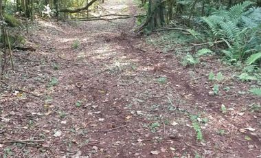 Venta Campo 12700 m2 C/Financiación Eldorado Misiones