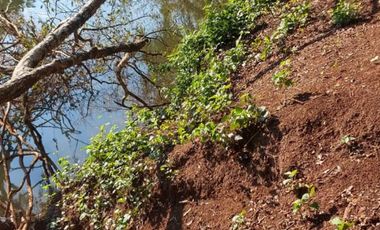 Venta Campo 12700 m2 C/Financiación Eldorado Misiones