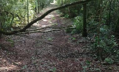 Venta Campo 12700 m2 C/Financiación Eldorado Misiones