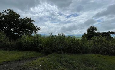 TERRENO EN  VENTA  TAPALPA