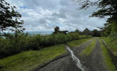 TERRENO EN  VENTA  TAPALPA