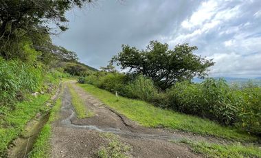 TERRENO EN  VENTA  TAPALPA