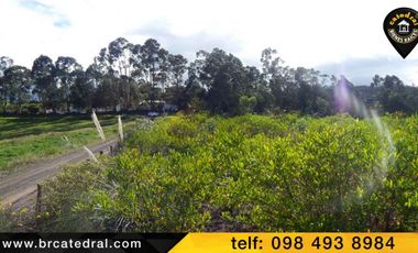 Terreno de venta en Chuquipata  – código:11846