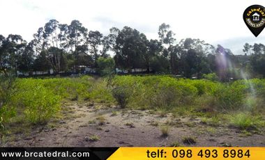 Terreno de venta en Chuquipata  – código:11846