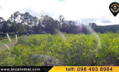 Terreno de venta en Chuquipata  – código:11846