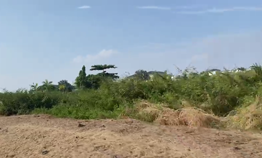 Vendo Terreno en Isla Mocolí