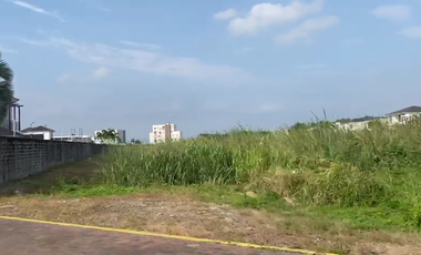 Vendo Terreno en Isla Mocolí