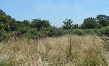 Excelente quinta de 2.600 m2, baldía, Ingeniero Allan, Florencio Varela