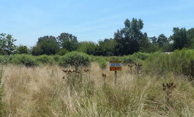 Excelente quinta de 2.600 m2, baldía, Ingeniero Allan, Florencio Varela