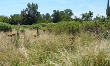 Excelente quinta de 2.600 m2, baldía, Ingeniero Allan, Florencio Varela