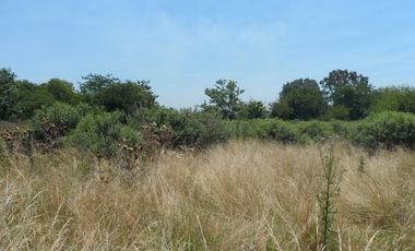 Excelente quinta de 2.600 m2, baldía, Ingeniero Allan, Florencio Varela