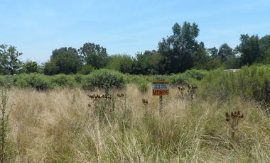 Excelente quinta de 2.600 m2, baldía, Ingeniero Allan, Florencio Varela