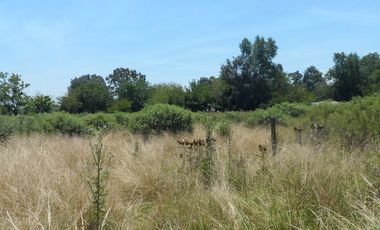Excelente quinta de 2.600 m2, baldía, Ingeniero Allan, Florencio Varela