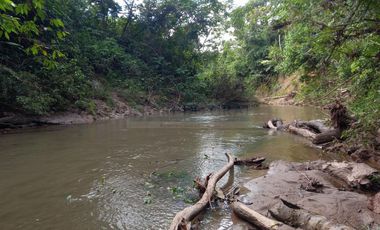 Terrenos Rusticos Venta Sector Alto Shiringal, Irazola, Padre Abad - PUCALLPA