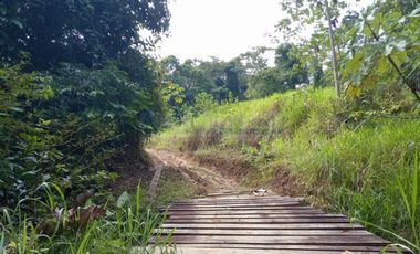 Terrenos Rusticos Venta Sector Alto Shiringal, Irazola, Padre Abad - PUCALLPA