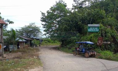 Terrenos Rusticos Venta Sector Alto Shiringal, Irazola, Padre Abad - PUCALLPA