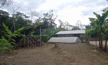 Terrenos Rusticos Venta Sector Alto Shiringal, Irazola, Padre Abad - PUCALLPA
