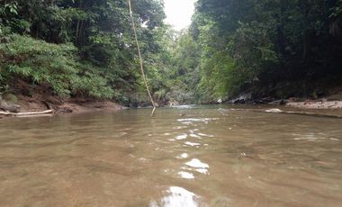 Terrenos Rusticos Venta Sector Alto Shiringal, Irazola, Padre Abad - PUCALLPA