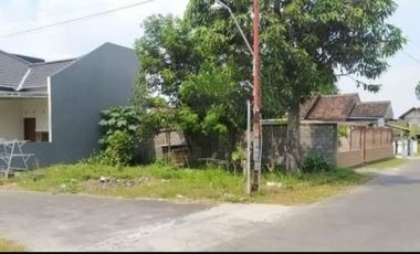 Tanah Sleman Bagus Banget di Purwomartani: Pekarangan