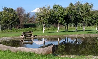 Venta Terreno En Huejotzingo, Puebla 7 Has