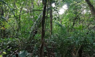 TERRENO EN VENTA USO MIXTO  VILLAHERMOSA TABASCO