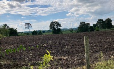 Venta Lote Tebaida Quindio - Colombia COD: 6229609