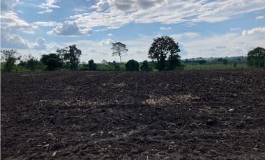 Venta Lote Tebaida Quindio - Colombia COD: 6229609