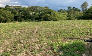 Venta Lote Tebaida Quindio - Colombia COD: 6229609