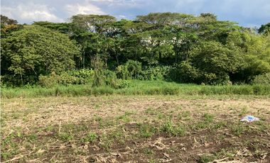 Venta Lote Tebaida Quindio - Colombia COD: 6229609