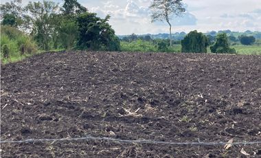 Venta Lote Tebaida Quindio - Colombia COD: 6229609