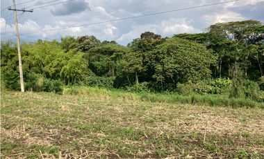 Venta Lote Tebaida Quindio - Colombia COD: 6229609
