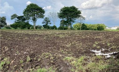 Venta Lote Tebaida Quindio - Colombia COD: 6229609