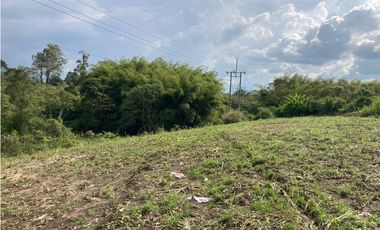 Venta Lote Tebaida Quindio - Colombia COD: 6229609