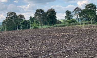Venta Lote Tebaida Quindio - Colombia COD: 6229609