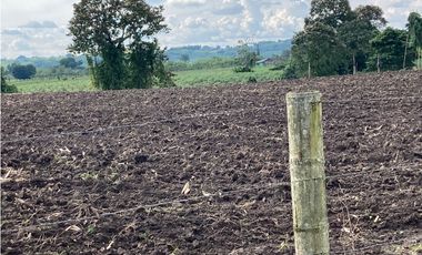 Venta Lote Tebaida Quindio - Colombia COD: 6229609
