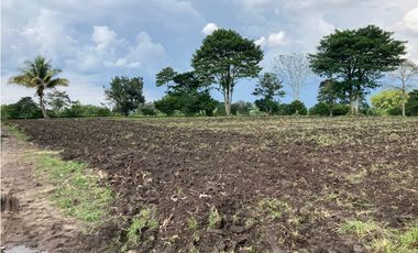 Venta Lote Tebaida Quindio - Colombia COD: 6229609