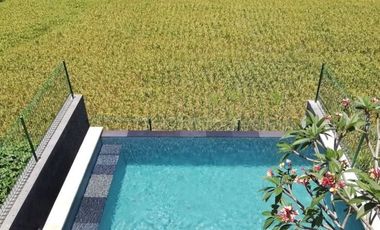 For sale villa view rice fields with modern design in Ubud Bali