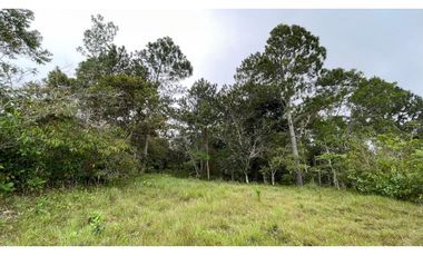 SE VENDE CASA DE CAMPO EN ALTOS DE CAMPANA