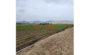 Ocasión!! 🏗️ Venta De Terreno Industrial  Z I3  De 7 Hectareas Ubicado En La Panamericana Norte Km 97 – Cerca Al Mega Puerto De Chancay