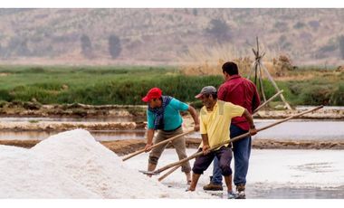 VENTA PARCELA PICHILEMU CAHUIL 3 CABAÑAS