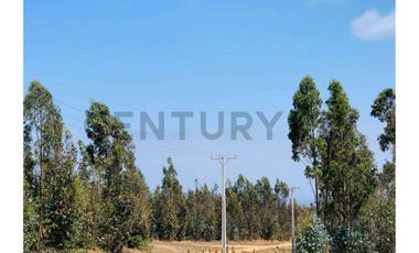 VENTA PARCELA PICHILEMU CAHUIL 3 CABAÑAS